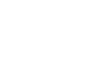 The Next Web